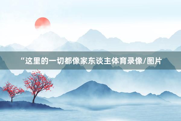 “这里的一切都像家东谈主体育录像/图片