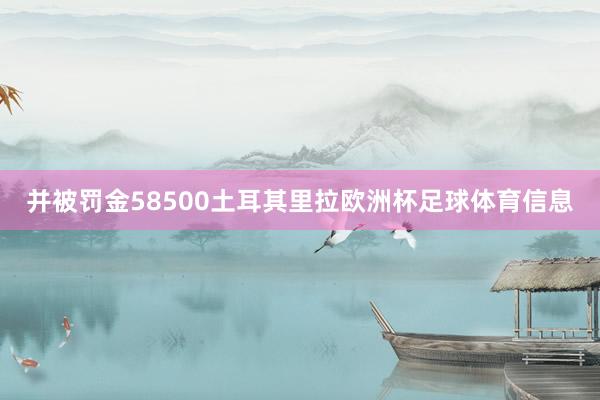 并被罚金58500土耳其里拉欧洲杯足球体育信息