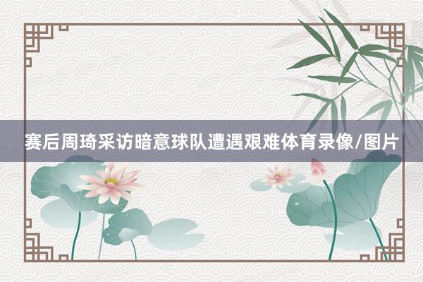 赛后周琦采访暗意球队遭遇艰难体育录像/图片