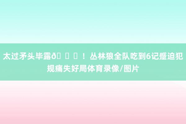 太过矛头毕露👊！丛林狼全队吃到6记蹙迫犯规痛失好局体育录像/图片