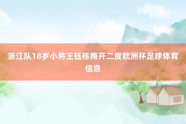 浙江队18岁小将王钰栋梅开二度欧洲杯足球体育信息