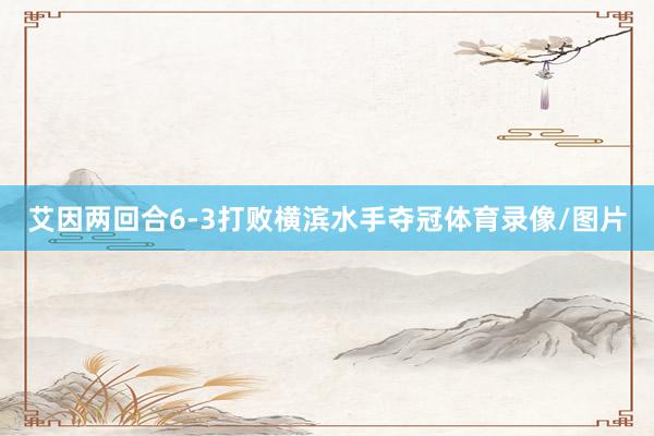 艾因两回合6-3打败横滨水手夺冠体育录像/图片