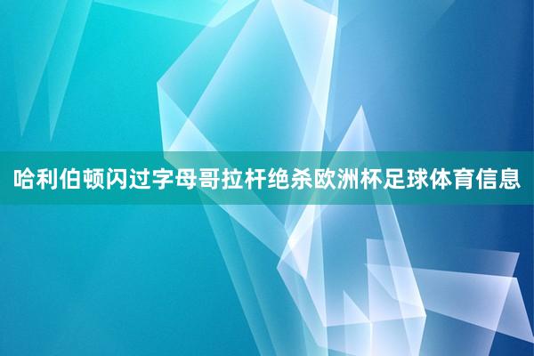 哈利伯顿闪过字母哥拉杆绝杀欧洲杯足球体育信息