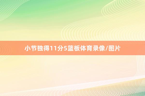小节独得11分5篮板体育录像/图片