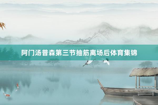 阿门汤普森第三节抽筋离场后体育集锦