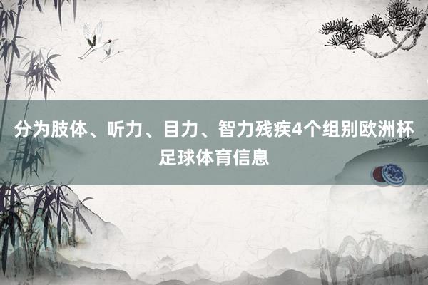 分为肢体、听力、目力、智力残疾4个组别欧洲杯足球体育信息