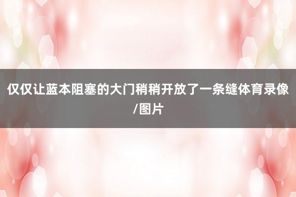 仅仅让蓝本阻塞的大门稍稍开放了一条缝体育录像/图片