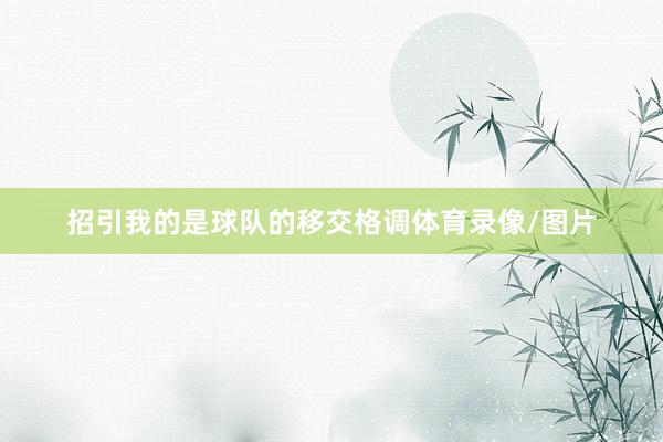 招引我的是球队的移交格调体育录像/图片