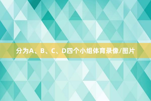 分为A、B、C、D四个小组体育录像/图片