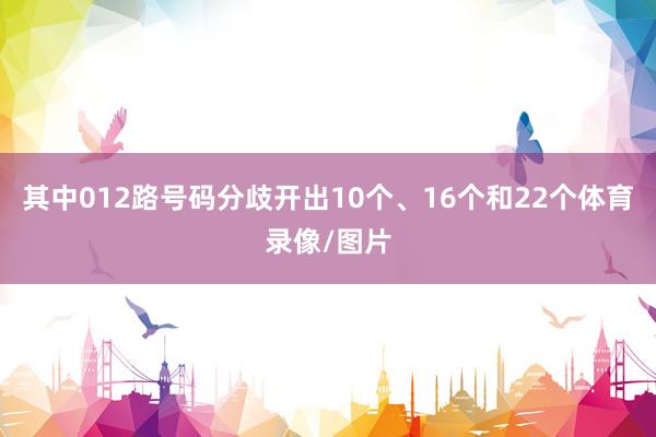 其中012路号码分歧开出10个、16个和22个体育录像/图片