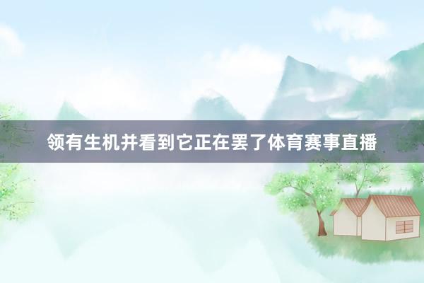领有生机并看到它正在罢了体育赛事直播