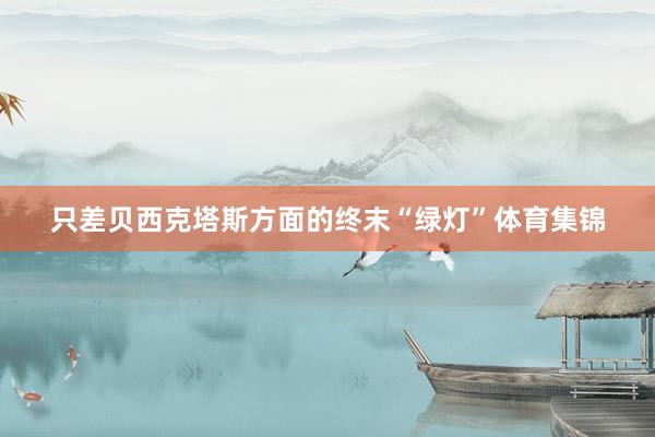 只差贝西克塔斯方面的终末“绿灯”体育集锦