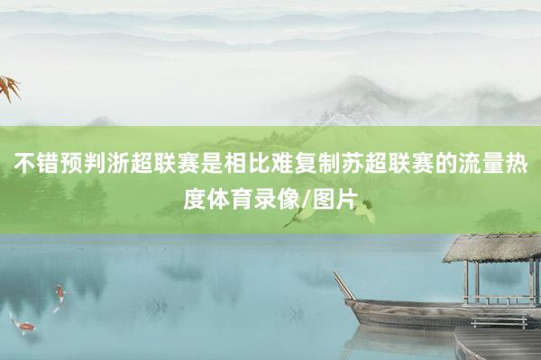 不错预判浙超联赛是相比难复制苏超联赛的流量热度体育录像/图片