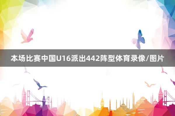 本场比赛中国U16派出442阵型体育录像/图片
