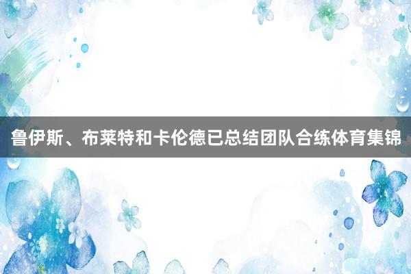 鲁伊斯、布莱特和卡伦德已总结团队合练体育集锦