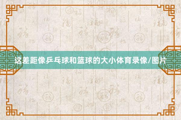 这差距像乒乓球和篮球的大小体育录像/图片