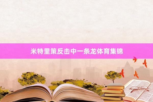 米特里策反击中一条龙体育集锦