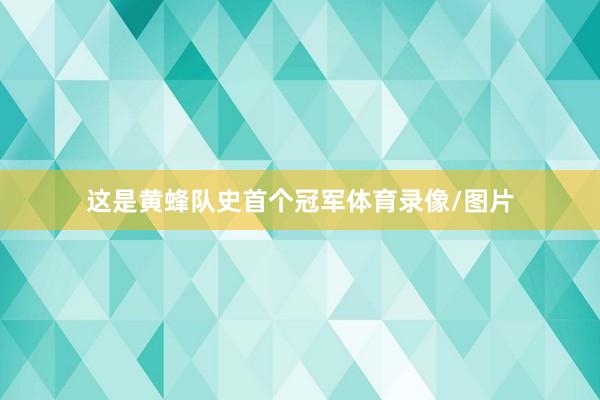 这是黄蜂队史首个冠军体育录像/图片