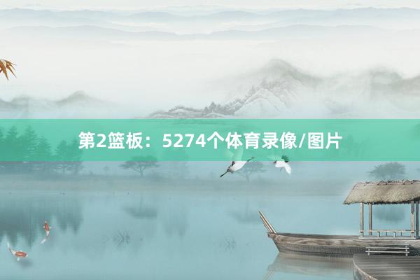 第2篮板：5274个体育录像/图片