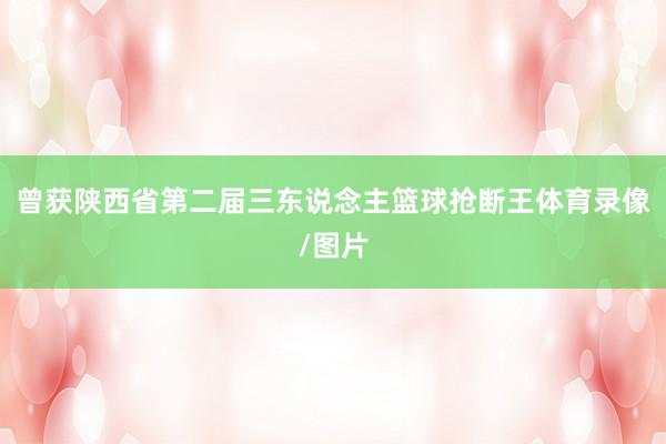 曾获陕西省第二届三东说念主篮球抢断王体育录像/图片