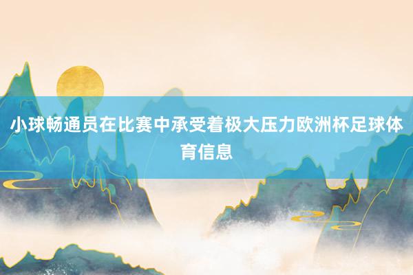 小球畅通员在比赛中承受着极大压力欧洲杯足球体育信息